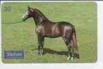 6490 SP 05/99 Cavalos (Marchador � conforto) 300.000x INT 30