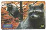 6495 SP 03/00 Animais Selvagens (Guaxinim) 450.000x CSM 30
