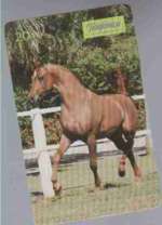 6490 SP 05/99 Cavalos ( �rabe � movimento) 300.000x INT 20