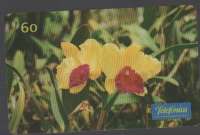 26600 SP 10/99 Flores (Orqudea - Cattleya Almakee) 480.500x INT 60